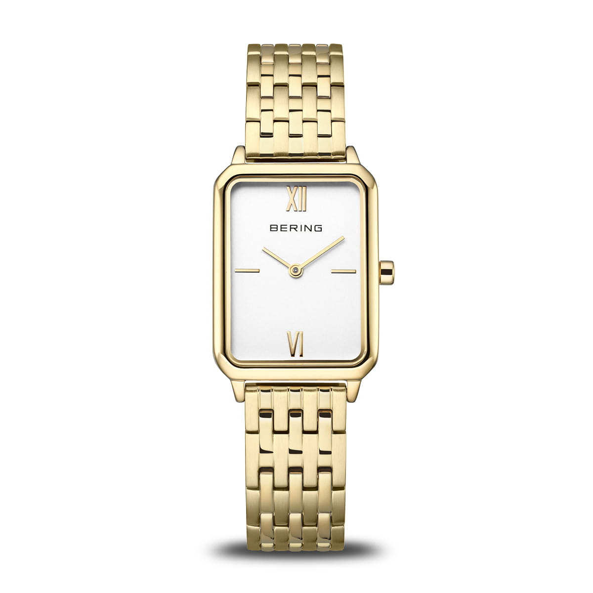 Bering 17423-734 Montre