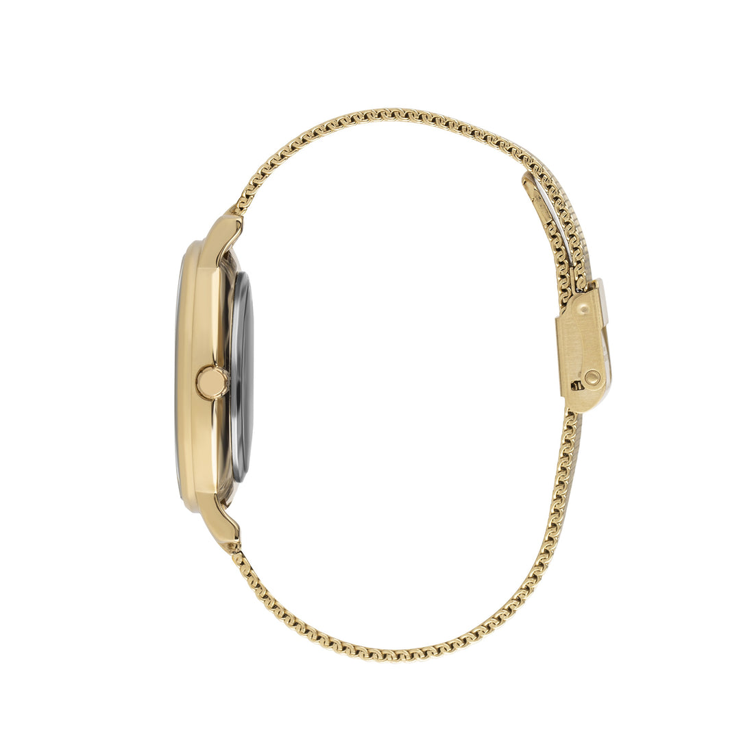 Montre Lee Cooper pour femmes