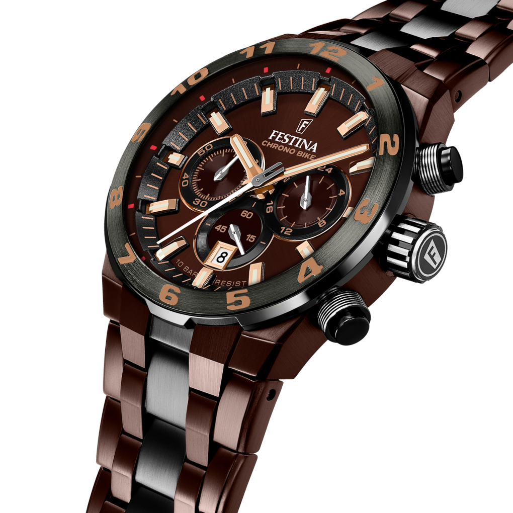Montre Homme Festina F20708/1