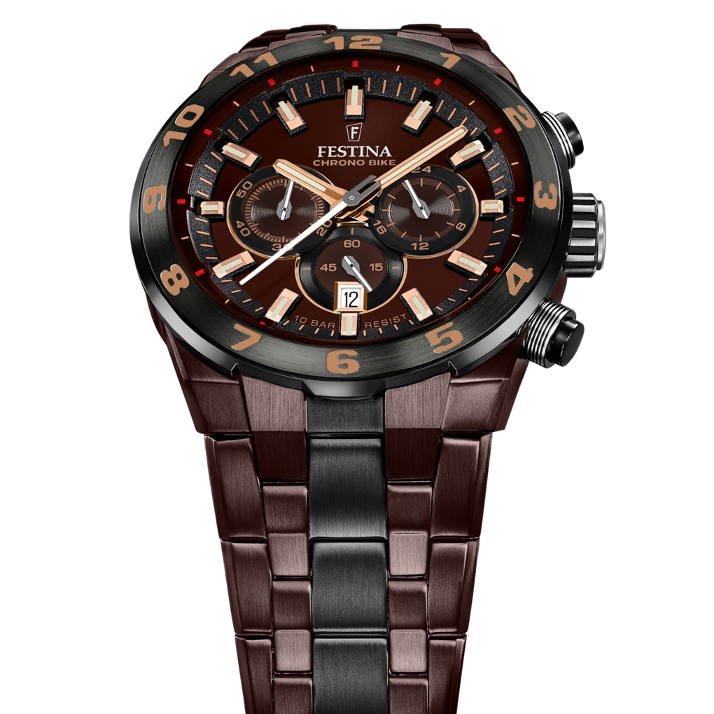 Montre Homme Festina F20708/1