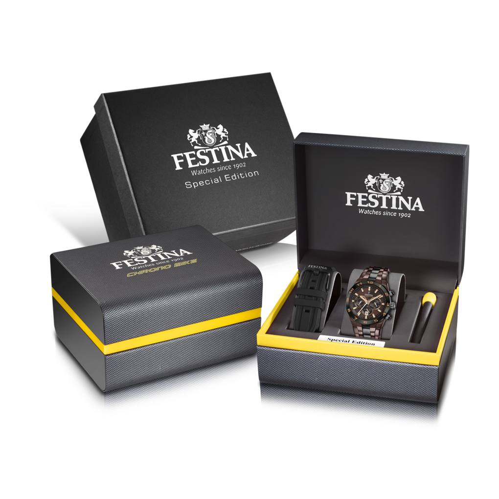 Montre Homme Festina F20708/1