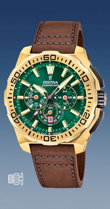 Montre de Plongée Homme Festina Noire Lhr