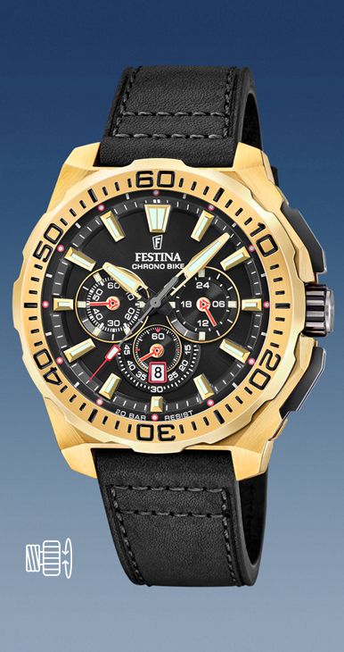 Montre Festina Homme Marron Lhr