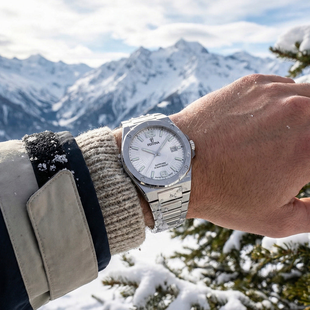 Montre Festina Suisse Homme Cadran Argent